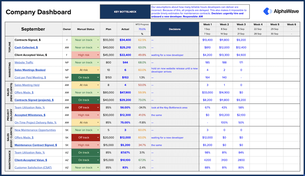 CEO Dashboard. Template Only