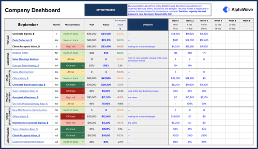 CEO Dashboard. Template Only